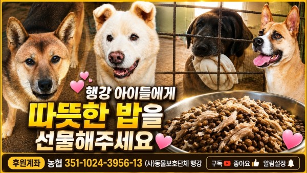 오랜만에 아이들 보여드려요