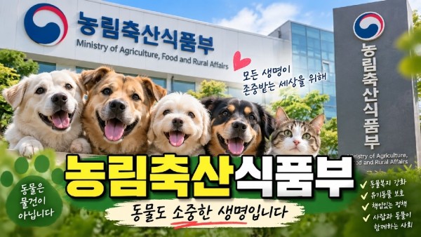 아이들을 지킬수만 있다면