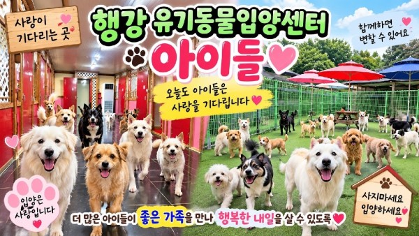 입양센터에서