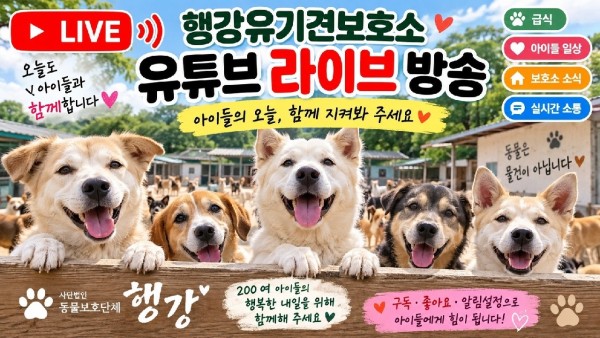 슈퍼챗후원 테스트방송