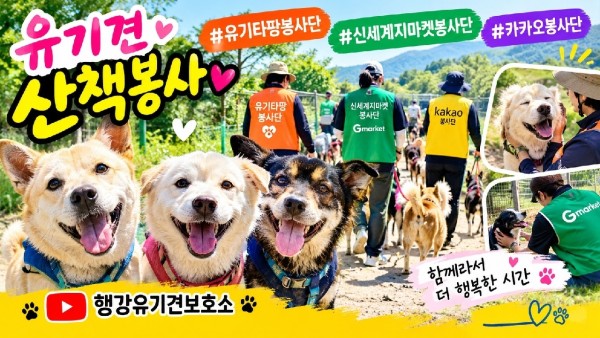 산책봉사 있는날