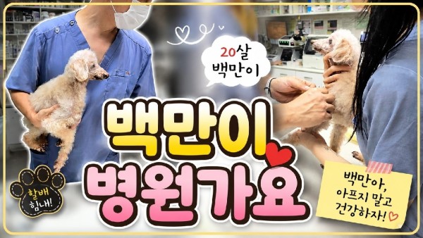백만할배 병원가자!