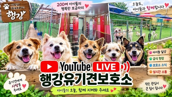 아이들을 지킬수만 있다면