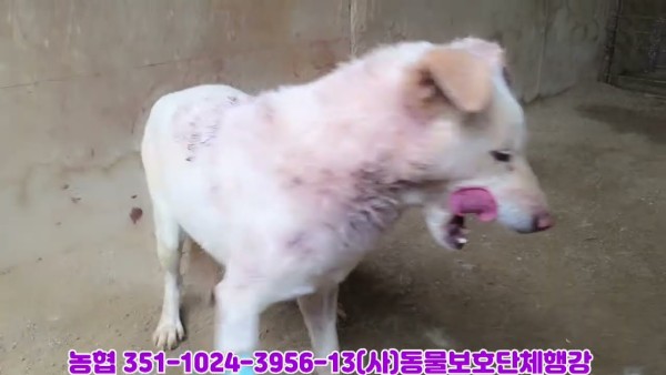 새벽4시에 무슨일이 밤사이 사건사고.