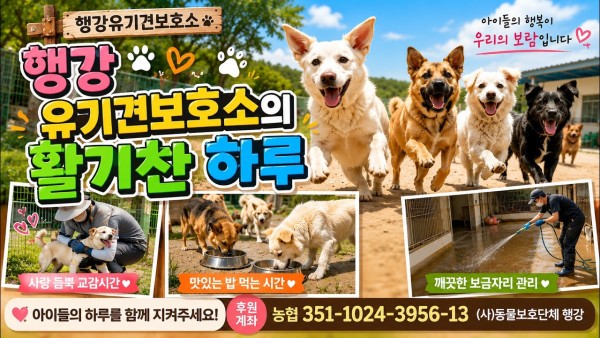 200명의 행강이들 급식라이브