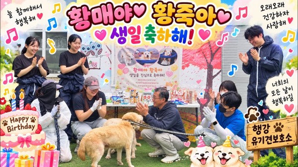 오늘은 황매.황죽이 생일파티와 산책하는날