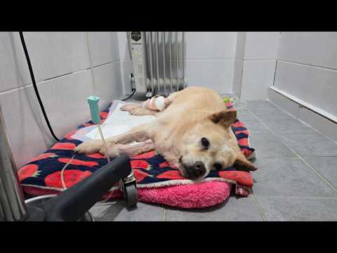 사랑하는 행강이들 건강하자.
